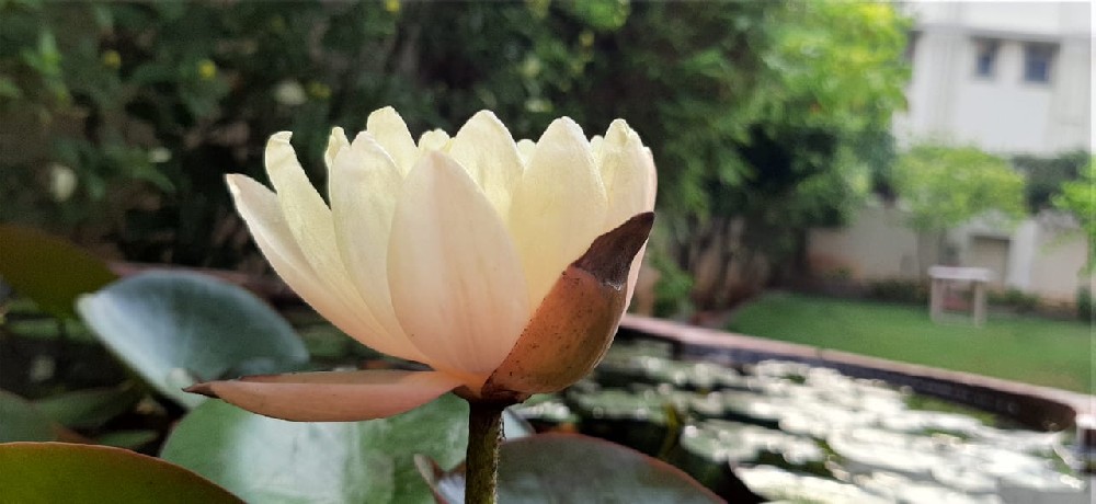 德州冠魯深孔鉆床，高品質(zhì)深孔機(jī)床，獲客戶認(rèn)可